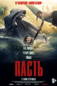 Пасть